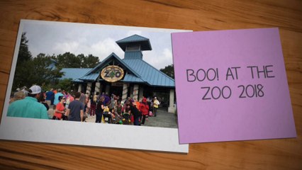 Boo at the Zoo 2018 at the BREC Baton Rouge Zoo