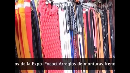 Rincon Taurino 20 oct 18