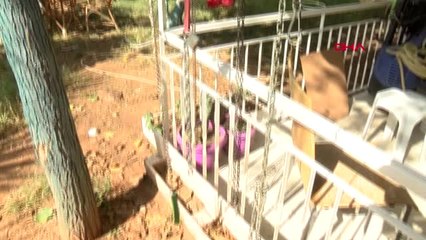 Antalya Köpeğimi Geri Versinler, Ölecekse Burada Ölsün'