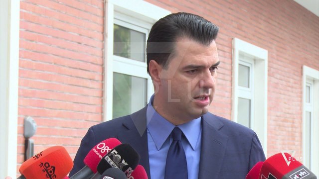 Basha: Kapen cironkat që të shpëtojnë “peshq të mëdhenj” - News, Lajme - Vizion Plus