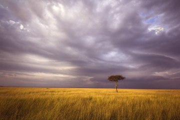 Pourquoi le changement climatique influe sur votre santé ?