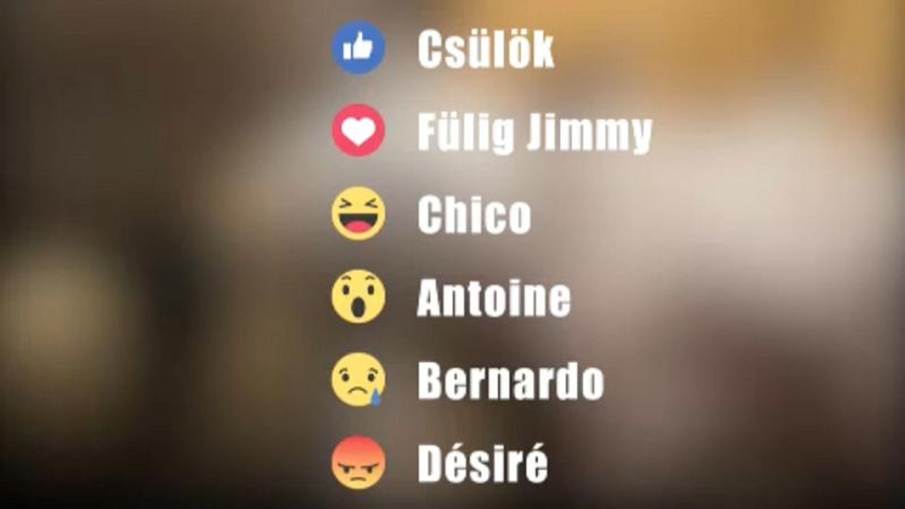 Orban sucht auf Facebook Namen für sein Nashorn