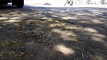 Buracos e pedras soltas causam transtornos na Rua Joaquim Távora
