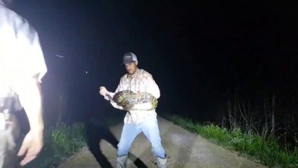 Il attrape un python qui ne va plus vouloir lacher son bras