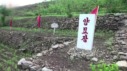 남북, 공동방제·北 양묘장 현대화 추진 / YTN