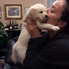 Jealous Dog Wants Puppy Back