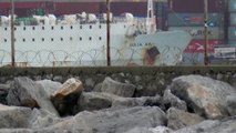 Anguslar İskenderun Limanı’ndan tahliye ediliyor