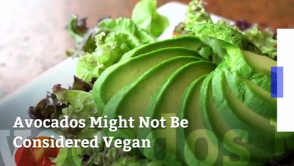 Avocados Might Not Be Considered Vegan