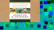 Best product  The Audubon Society Field Guide to North American Insects and Spiders (A Borzoi Book)