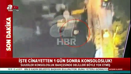 Delilleri böyle yok etmişler