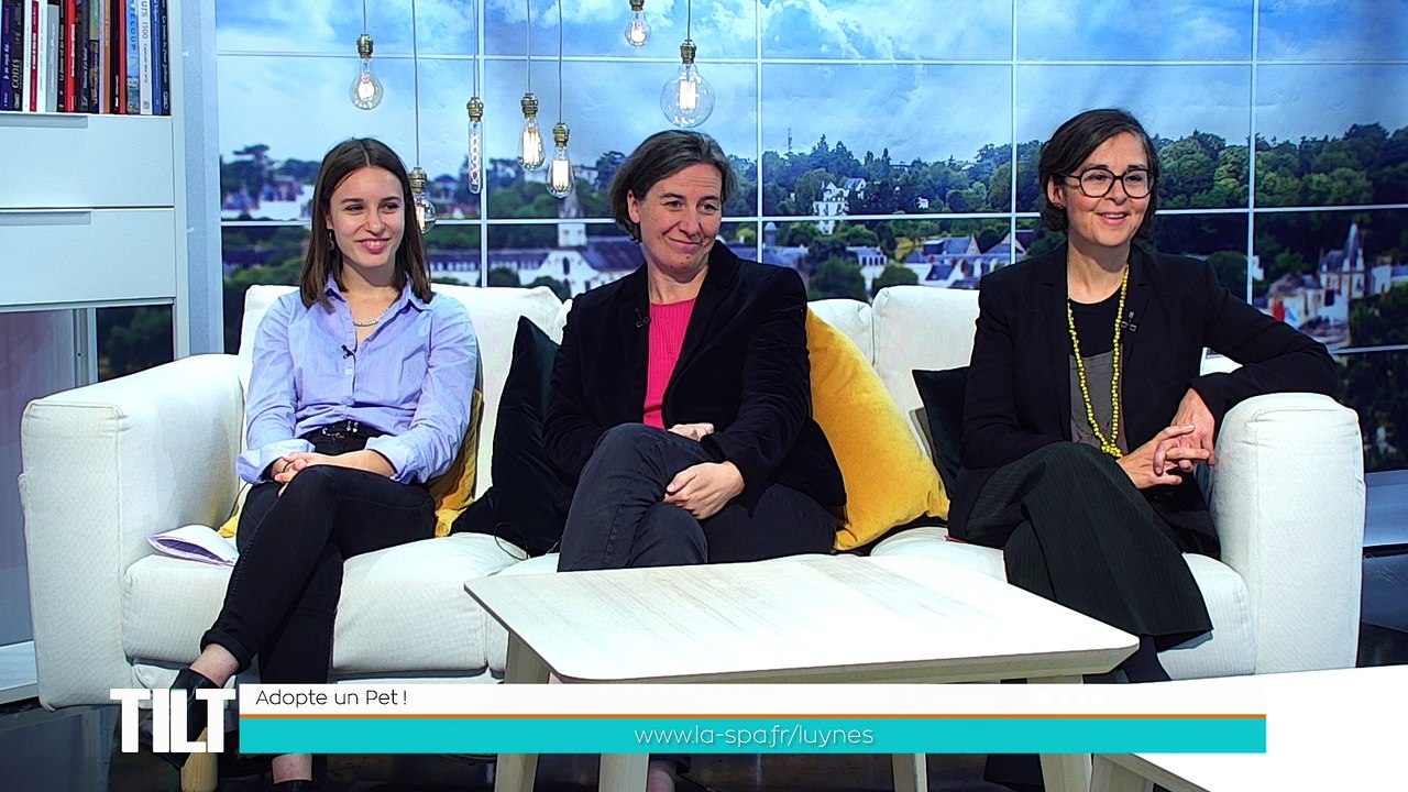 TILT - 22/10/2018 Partie 2 - Les enfants sur les pas de Mistigri au Château de Blois