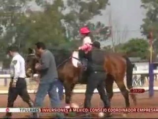 Policía Montada, necesaria para la Ciudad de México