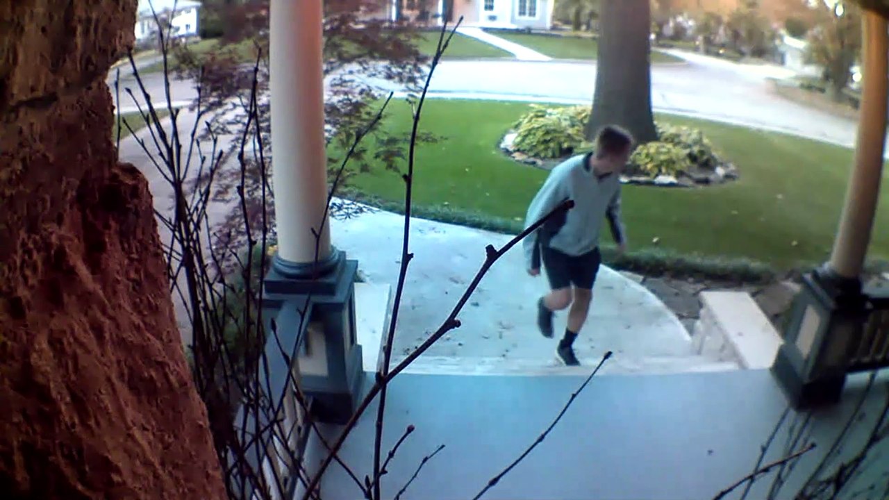 Pumpkin Smasher Caught on Camera