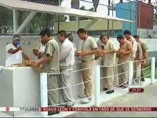 Cambian reos hábitos de alimentación