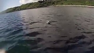 Swimming with some of the locals! We love this video  icolaofford ‍♀️ #isleofman #loveiom
