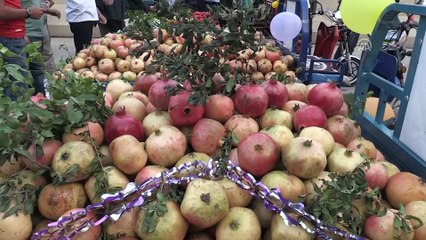 'Suruç 2. Nar Festilvali' - ŞANLIURFA