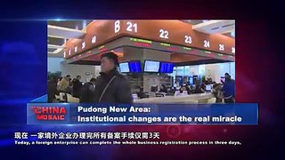 Pudong New Area: Institutional changes are the real miracle #ChinaMosaic #VideofromChina