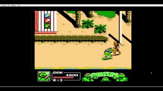 TMNT 3 Manhattan Project | Beach Time Madness | White Warg`