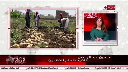 "بنبيع الكيلو بجنيه".. نقيب الفلاحين يطالب بمحاسبة أباطرة البطاطس