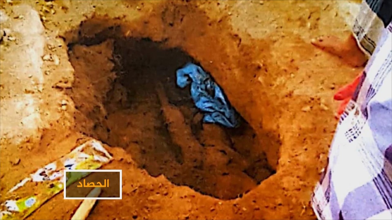 كشف المستور.. جرائم كتائب أبو العباس المدعومة إماراتيا بتعز