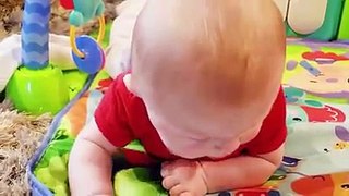 Cat And Babies Funny Video
