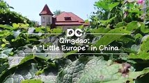 Qingdao, which was historically colonised by Germany, is a tourist city with beautiful coastal scenery and Bavarian architecture. The city is well known for its