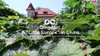 Qingdao, which was historically colonised by Germany, is a tourist city with beautiful coastal scenery and Bavarian architecture. The city is well known for its