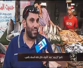 شاهد.."كل يوم" يجرى جولة داخل حلقة السمك بالمنيب