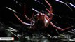 Secrets Revealed Of Black Widow Spiders' Strong-As-Steel Silk