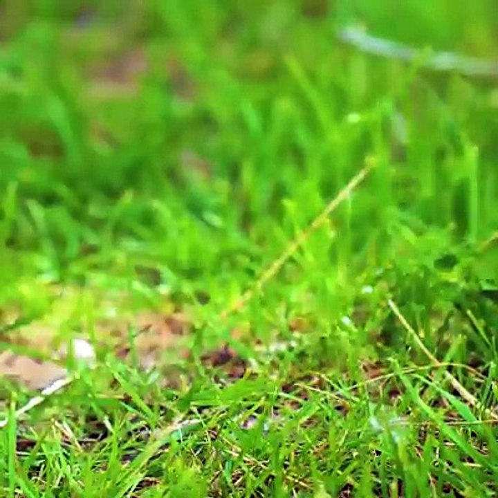 Affordable products and tips that will turn your life around. 