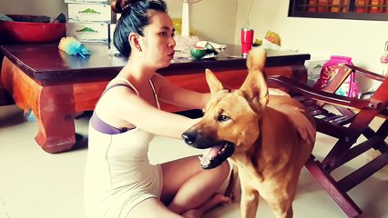 A PLAYFUL BONDING FUR FRIEND OF MINE