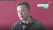 Elon Musk Hints At "Dog Mode" For Tesla