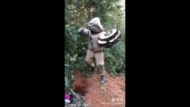 Un Japonais essaye de tuer un nid de frelons géants dans un costume farfelu (Darwin Award)