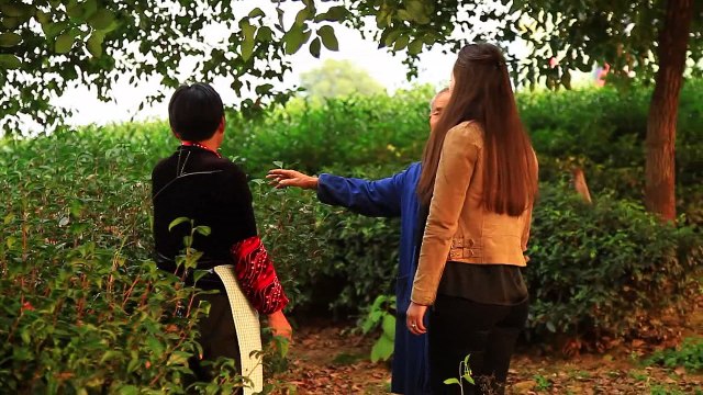 Tea gardens of Yixing