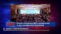 Private enterprises give a strong boost to the reinvigoration of Liaoning. #VideofromChina #ChinaMosaic