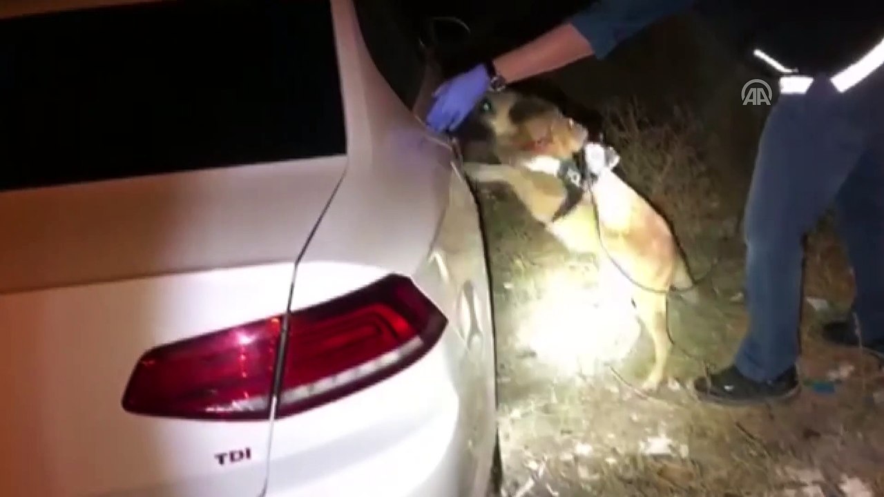 Park halindeki otomobilden uyuşturucu çıktı - VAN
