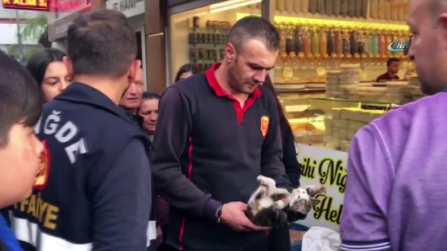 Kuruyemiş makinesinin içinde mahsur kalan kediyi itfaiye ekipleri kurtardı