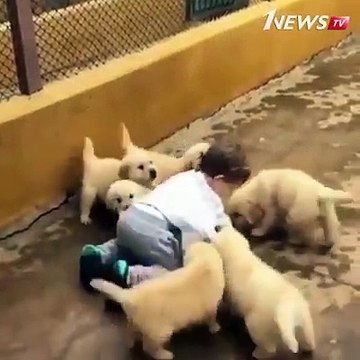 Послеобеденное мимими Доброты вам в ленту! И учитесь быть счастливыми просто так. Разве не мило?