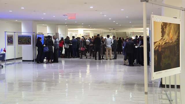 'İklim değişikliği konusunda farkındalık yaratmayı umuyorum' - NEW YORK