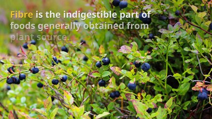 ROLE OF FIBER IN BUILDING MUSCLES