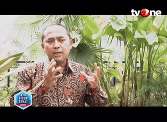 Mitos dan Fakta Teh Hijau