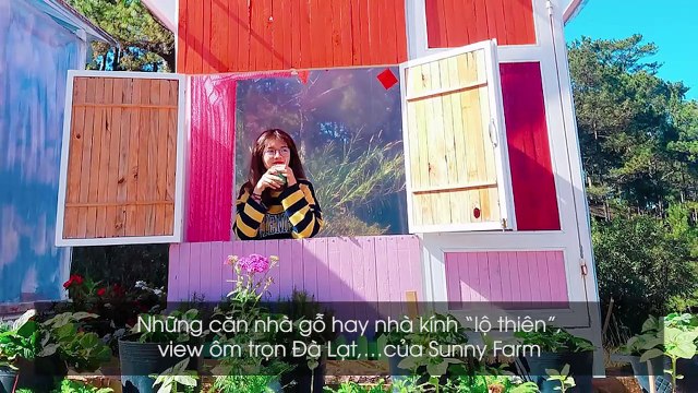 Xách ba lô lên Đà Lạt quyết du lịch một chuyến chỉ 50.000 đồng tại các điểm sống ảo siêu chất