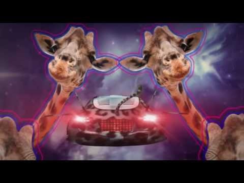 Styles&Complete - Jungle Spaceships