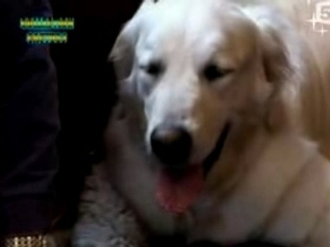 VOYAGE AU CENTRE DE LA VIE : LES MAMMIFERES 2/5