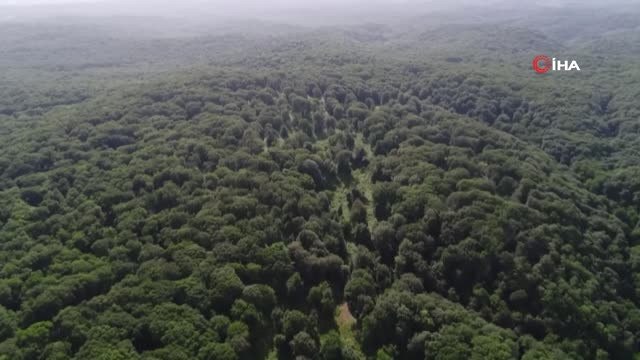 Belgrad Ormanı'nda Kaşıkçı'nın İzleri Aranıyor