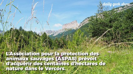 Ils veulent acheter 500 hectars de forêts dans le Vercors pour les préserver