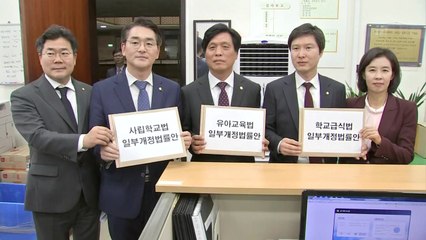 더민주, '유치원 비리 근절 3법' 당론으로 제출..."횡령 처벌 가능" / YTN