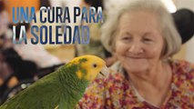 Terapia Animal: Una cura para la soledad