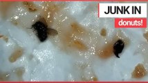 Mum finds BUGS in Dunkin' Donuts Sandwich! | SWNS TV