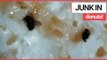 Mum finds BUGS in Dunkin' Donuts Sandwich! | SWNS TV